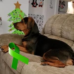 Meet your Posher, Sylvie